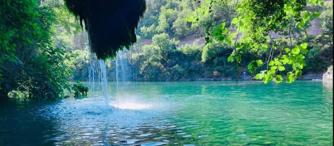 Saint-Rome-de-Tarn Camping Cascade Aveyron מראה חיצוני תמונה